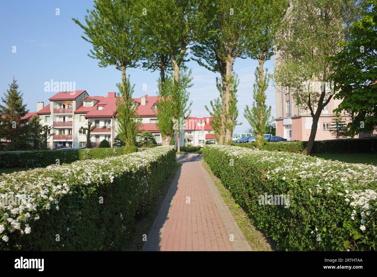 Vicolo con siepe di fioritura ed edificio di appartamenti in città Wladyslawo, Polonia Foto Stock