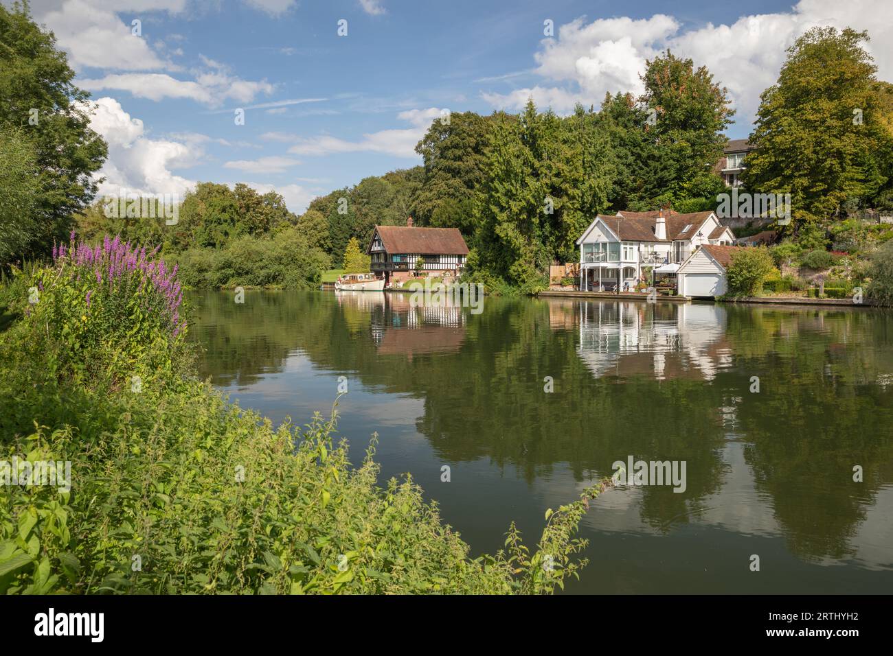 Vista delle case e delle barche lungo il fiume Tamigi, Goring-on-Thames, Oxfordshire, Inghilterra, Regno Unito, Europa Foto Stock