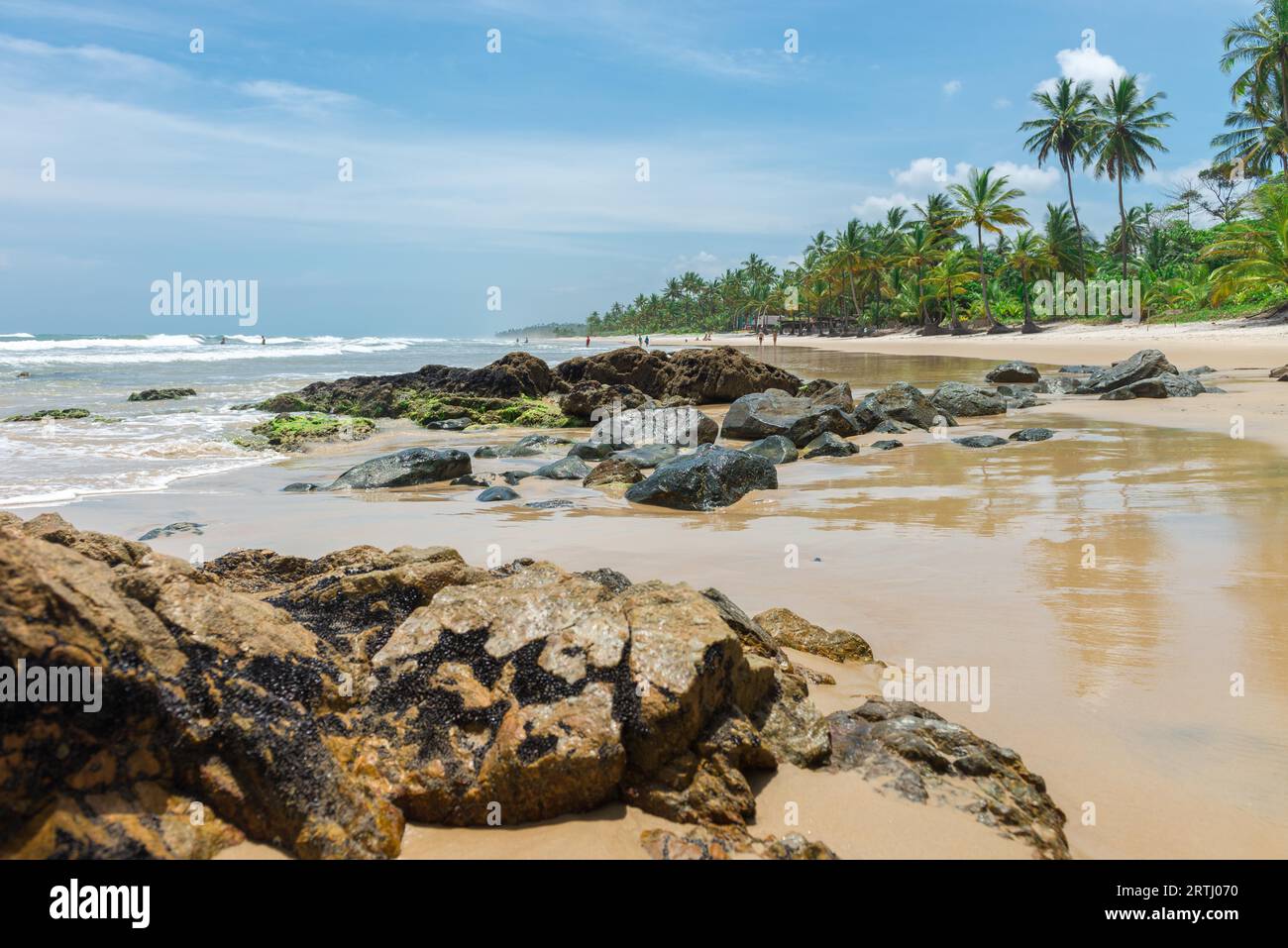 Bellissima spiaggia e natura nei pressi di Itacare in Bahia Brasile Foto Stock