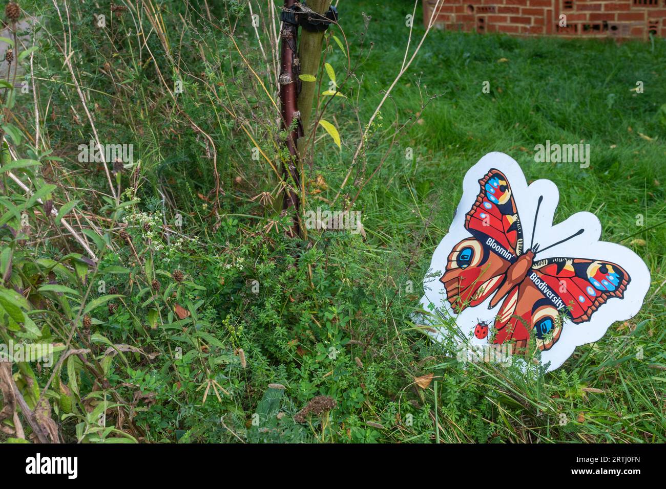 Area dei fiori selvatici con insegna a farfalla che legge Bloomin' Biodiversity nel Evelyn Borelli Garden of Rest, Farnham, Surrey, Inghilterra, Regno Unito Foto Stock