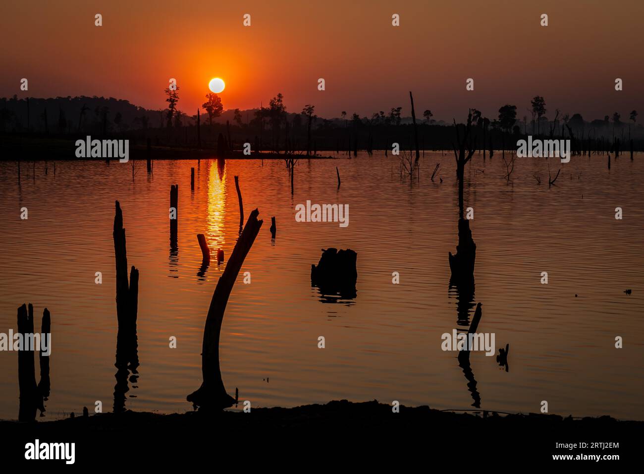 Cieli arancioni e tramonti sugli alberi morti sommersi nel fiume Nam Theun a Thalang, Konglor loop, Thakhek, Laos Foto Stock