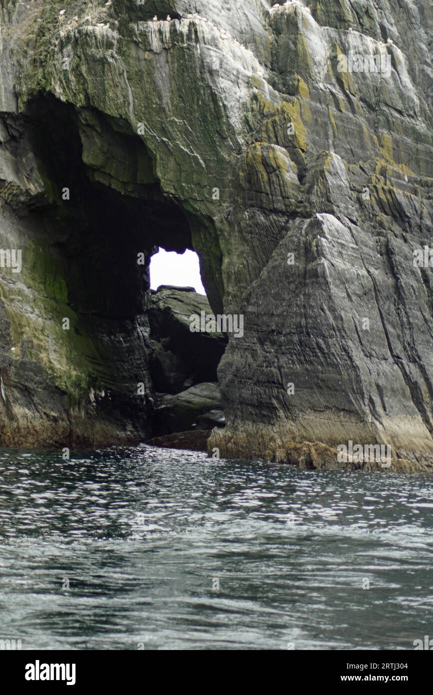 Little Skellig, la seconda colonia di gannet più grande del mondo Foto Stock