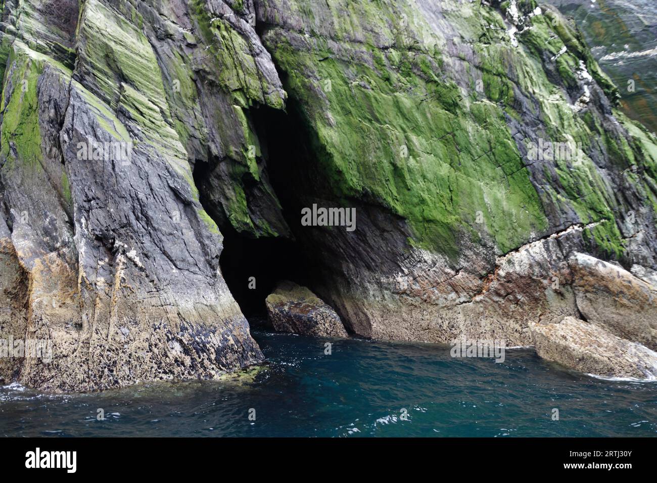 Little Skellig, la seconda colonia di gannet più grande del mondo Foto Stock