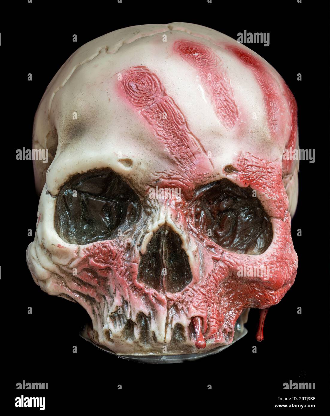 Bloody Tribal Skull Halloween Props e decorazioni isolate su sfondo nero. Foto Stock