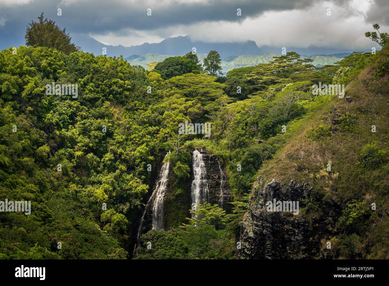 Cascate Opaekaa'a viste dal punto panoramico nell'area del fiume Wailua di Kauai Foto Stock