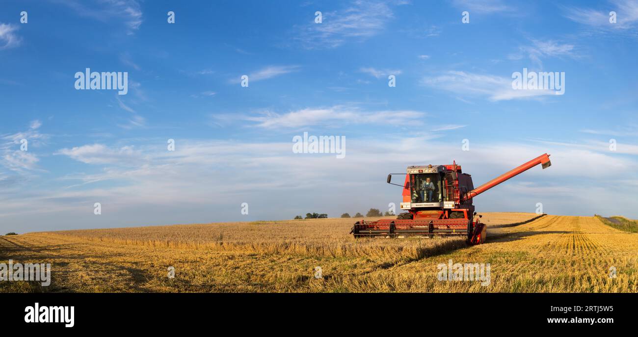 Ramlose, Danimarca, 24 agosto 2016: Vista panoramica di una mietitrebbia in funzione Foto Stock