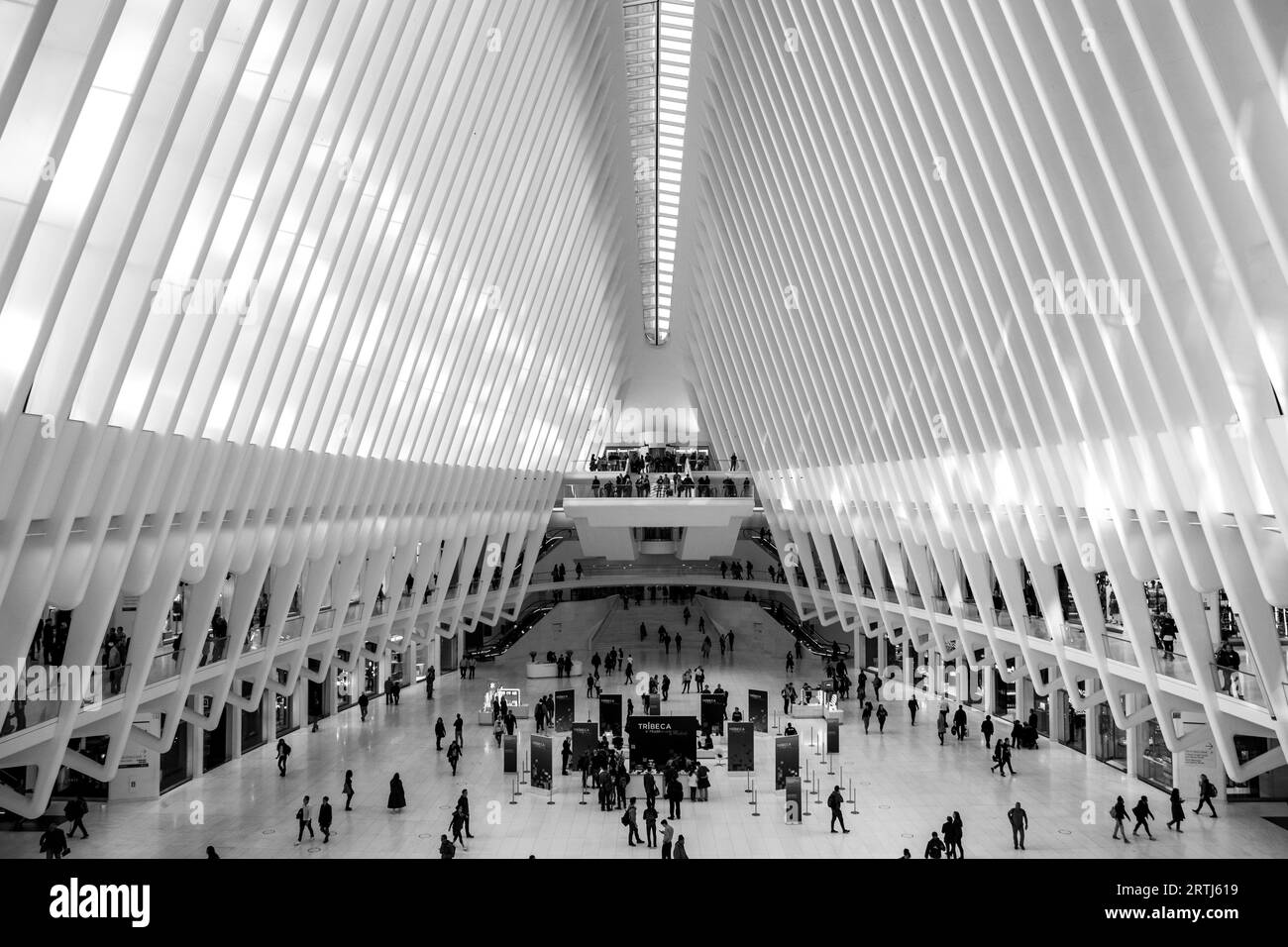 New York, Stati Uniti d'America, 18 novembre 2016: Vista interna della stazione ferroviaria di Oculus al World Trade Center Foto Stock