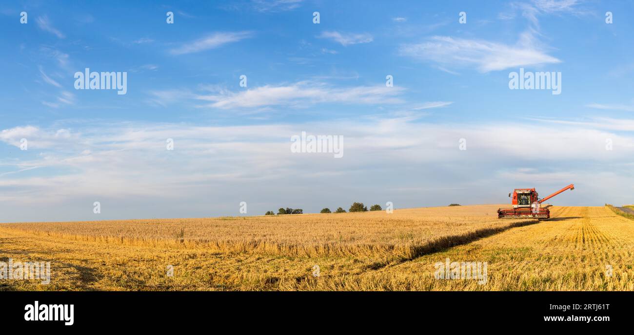 Ramlose, Danimarca, 24 agosto 2016: Vista panoramica di una mietitrebbia in funzione Foto Stock