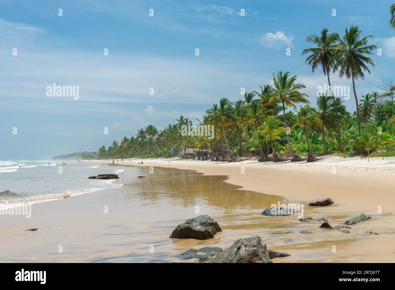 Itacare, Brasile, 7 dicembre 2016: Splendida natura verde presso la spiaggia di Itacarezinho a Bahia Foto Stock