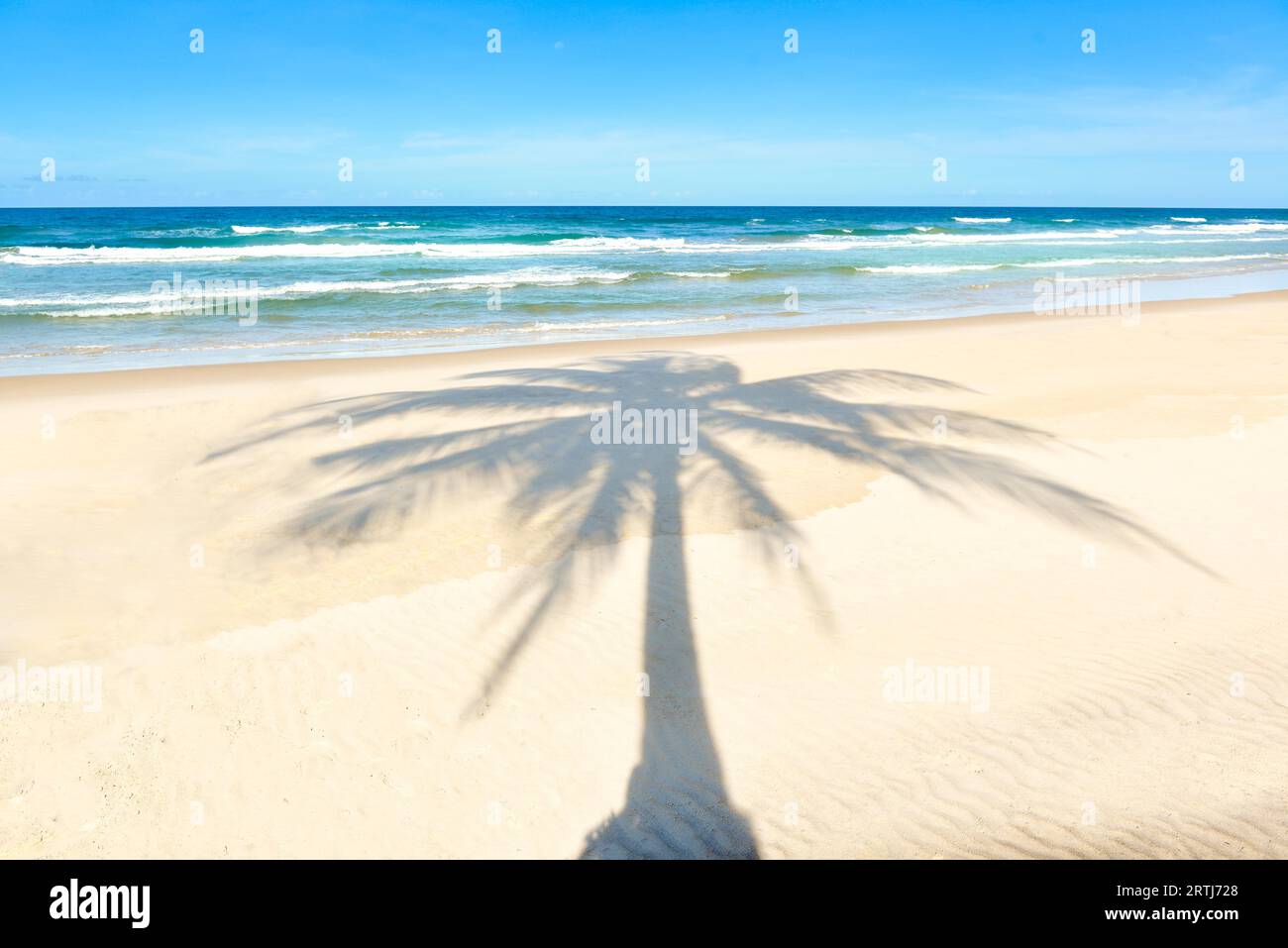 Palm tree ombra sulla bella spiaggia di sabbia con palme Foto Stock