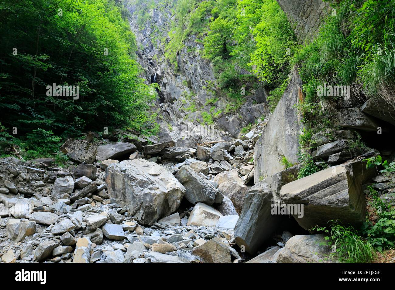 Pietre e massi ai piedi di una montagna nelle Alpi Berchtesgaden Foto Stock