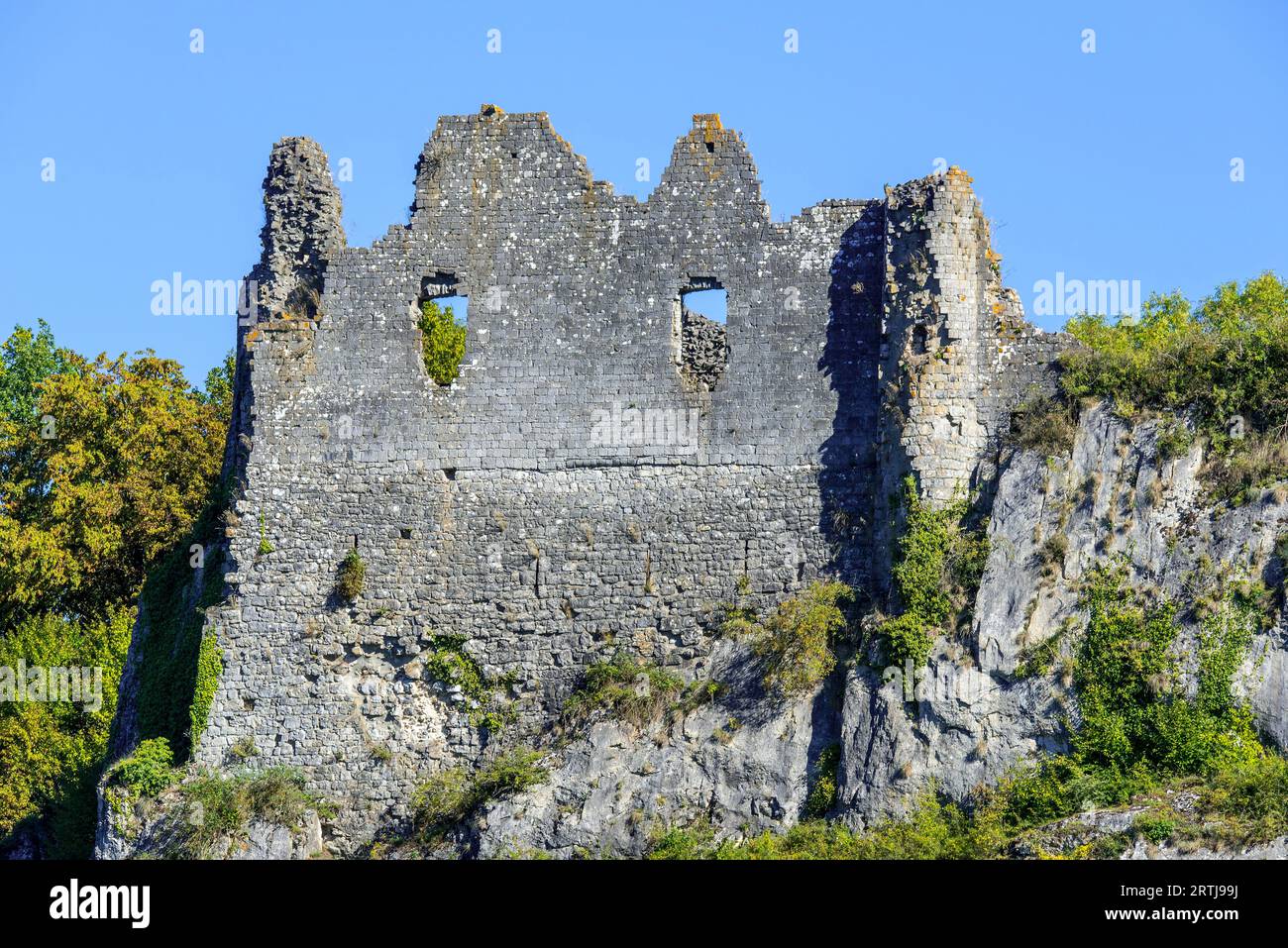 Château de Montaigle in estate, castello medievale in rovina del XIV secolo a Falaën, Onhaye, provincia di Namur, Vallonia, Ardenne belghe, Belgio Foto Stock
