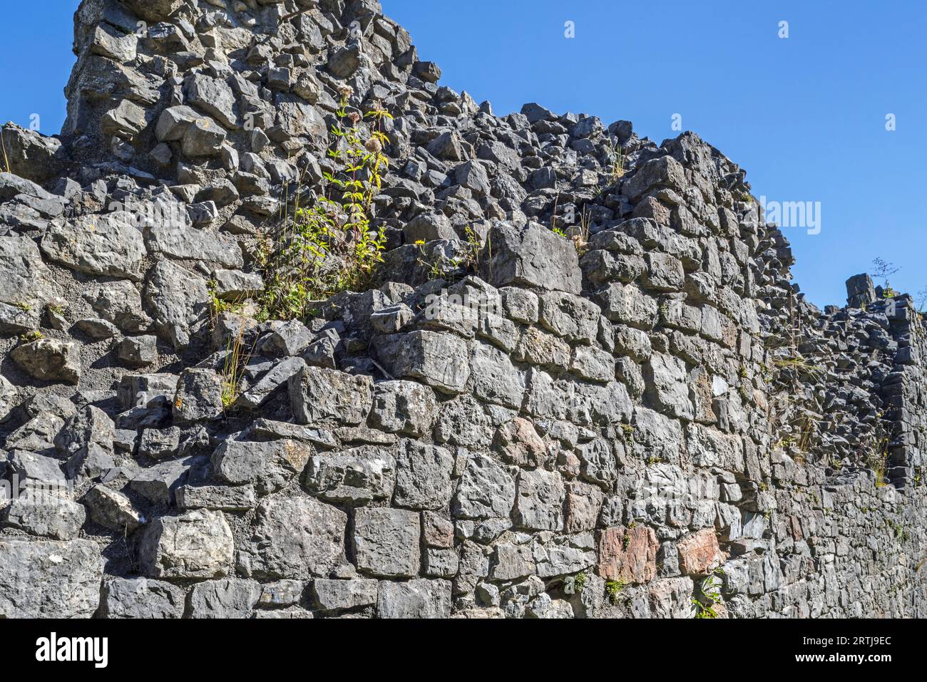 Spessa parete in pietra del castello medievale con due tipi di muratura, macerie all'interno e pietra regolarmente tagliata, chiamata conchiglia, all'esterno Foto Stock