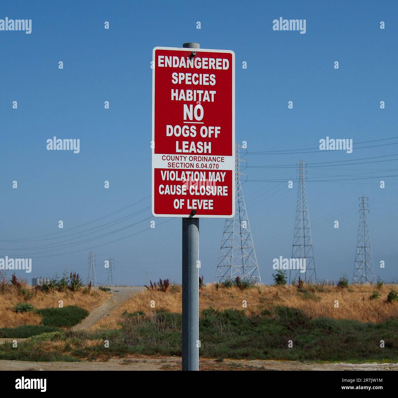 Habitat delle specie a rischio nessun cane al guinzaglio, la violazione può causare la chiusura del cartello d'argine lungo la baia di San Francisco, California Foto Stock