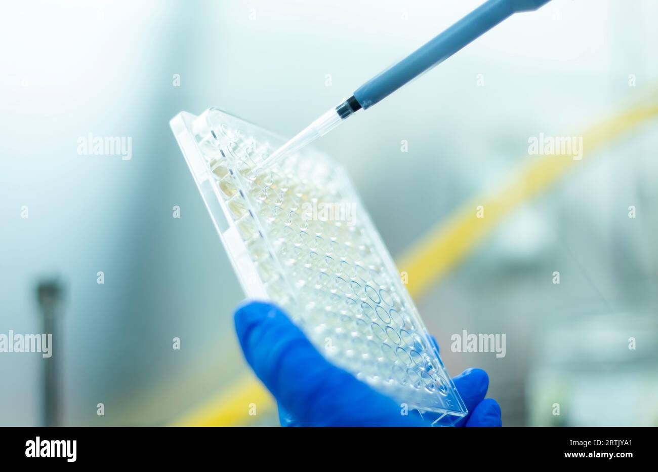 laboratorio di coltura cellulare e microbiologia, biologia del cancro Foto Stock