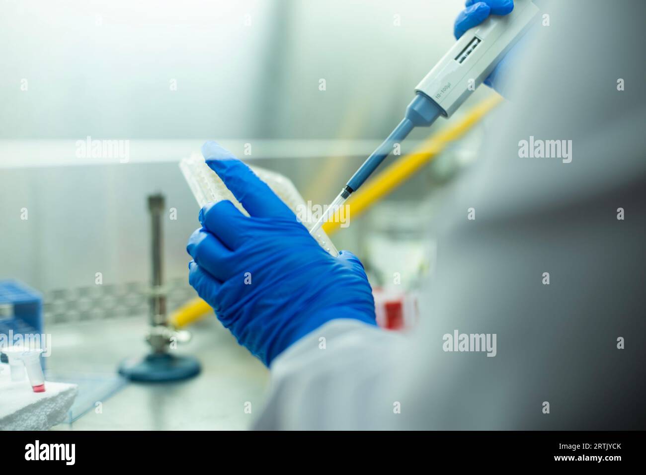 laboratorio di coltura cellulare e microbiologia, biologia del cancro Foto Stock