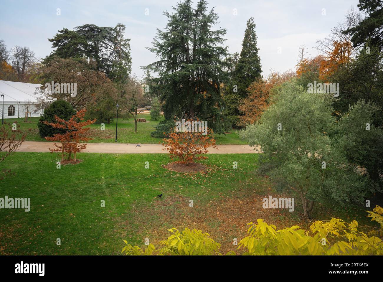 Parc des Bastions (Parco dei Bastioni) - Ginevra, Svizzera Foto Stock