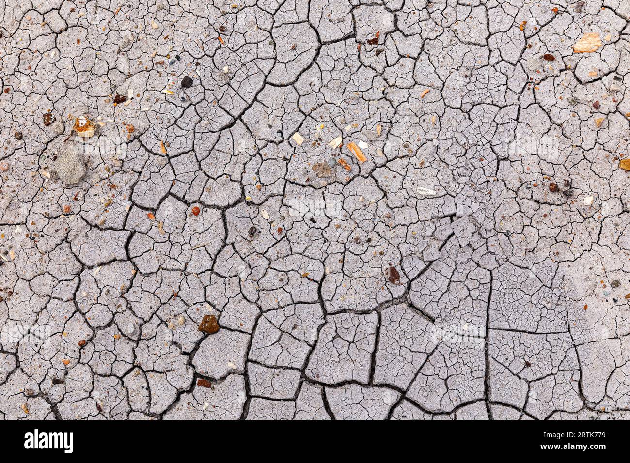 Primo piano della Terra incrinata nel fango, Petrified Forest National Park, Arizona, USA Foto Stock