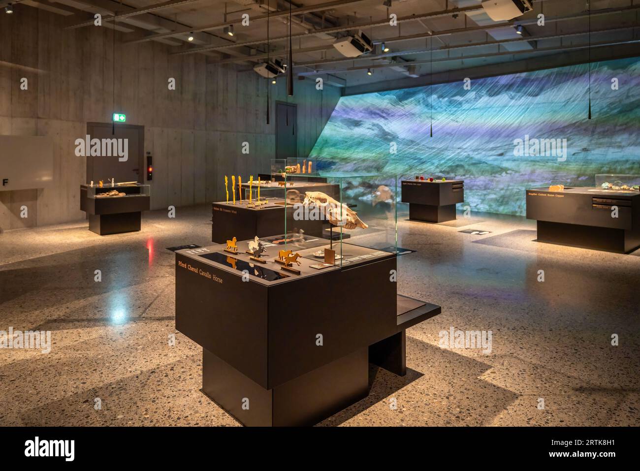 Mostra archeologica al Museo Nazionale Svizzero - Zurigo, Svizzera Foto Stock