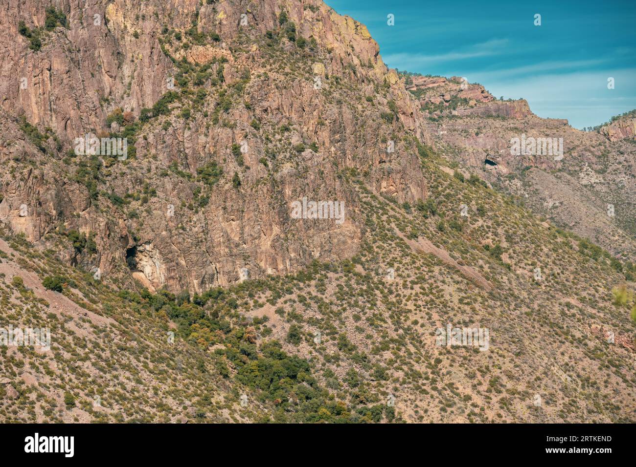 Grotte Dot the Mountain Side lungo il Blue Creek Trail nel Big Bend National Park Foto Stock