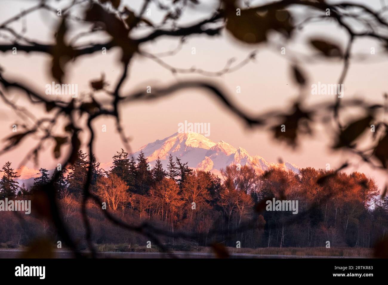 Cima del monte Baker vista dal lago Terrell vicino a Bellingham, Washington, USA Foto Stock