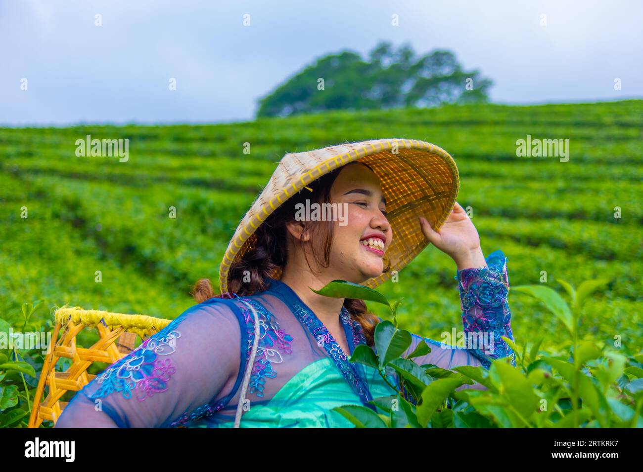 Un contadino asiatico che indossa un cappello di bambù mentre nel pomeriggio si trova nel mezzo di una piantagione di tè Foto Stock