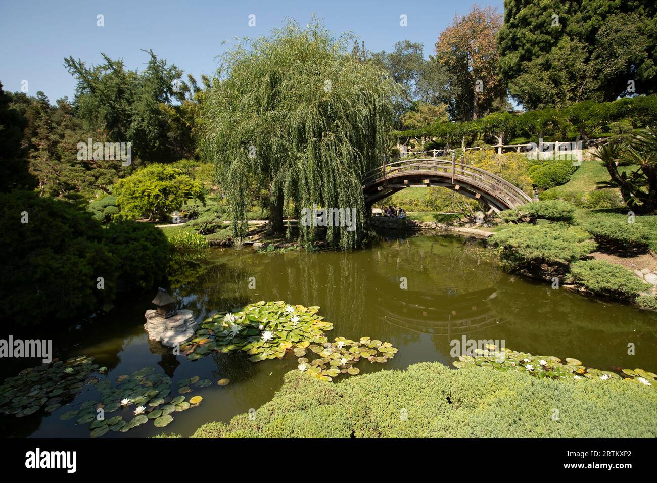 San Marino, California, USA, 11 giugno 2022: La luce del sole del pomeriggio splende sul Chinese Garden - Garden of Flowing Fragrance presso la Huntington Library. Foto Stock