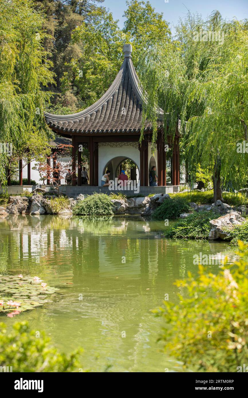 San Marino, California, USA, 11 giugno 2022: La luce del sole del pomeriggio splende sul Chinese Garden - Garden of Flowing Fragrance presso la Huntington Library. Foto Stock