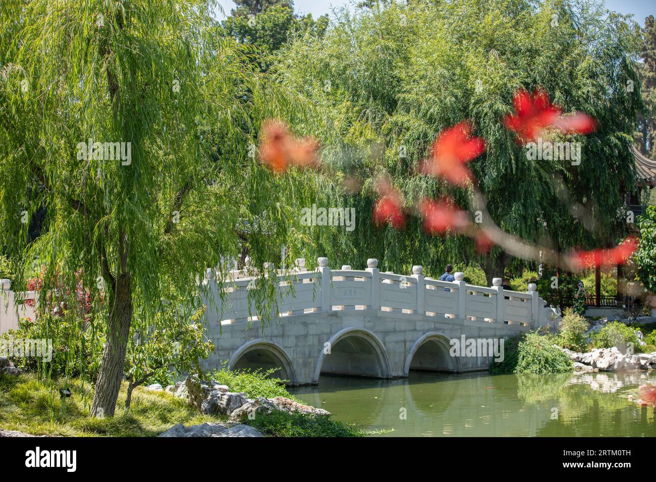 San Marino, California, USA, 11 giugno 2022: La luce del sole del pomeriggio splende sul Chinese Garden - Garden of Flowing Fragrance presso la Huntington Library. Foto Stock