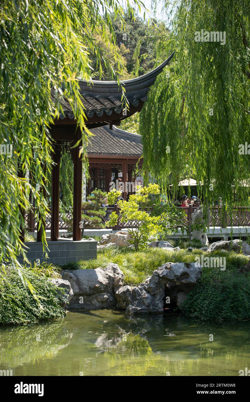 San Marino, California, USA, 11 giugno 2022: La luce del sole del pomeriggio splende sul Chinese Garden - Garden of Flowing Fragrance presso la Huntington Library. Foto Stock
