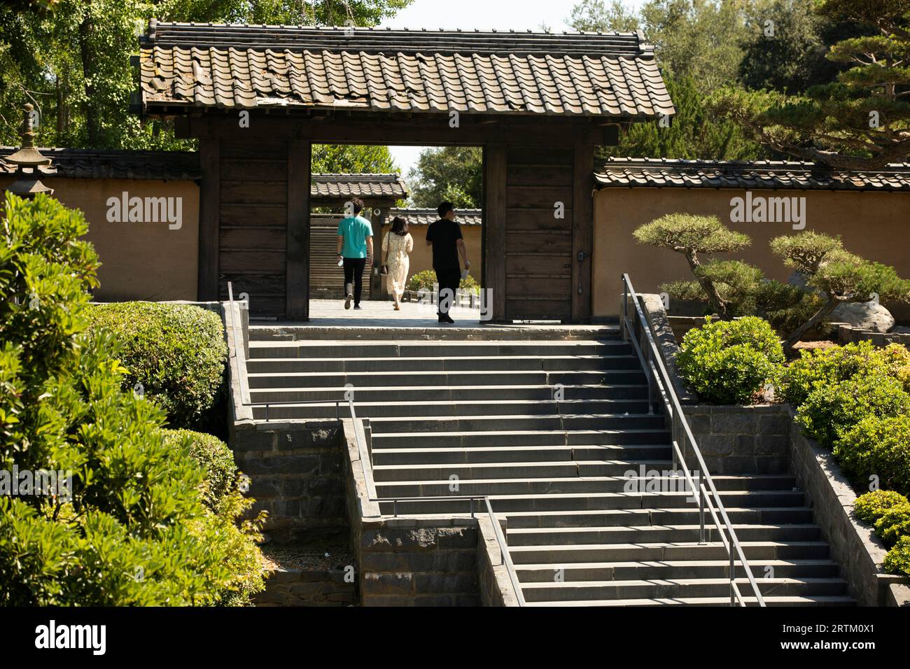 San Marino, California, USA, 11 giugno 2022: La luce del sole del pomeriggio splende sul Chinese Garden - Garden of Flowing Fragrance presso la Huntington Library. Foto Stock