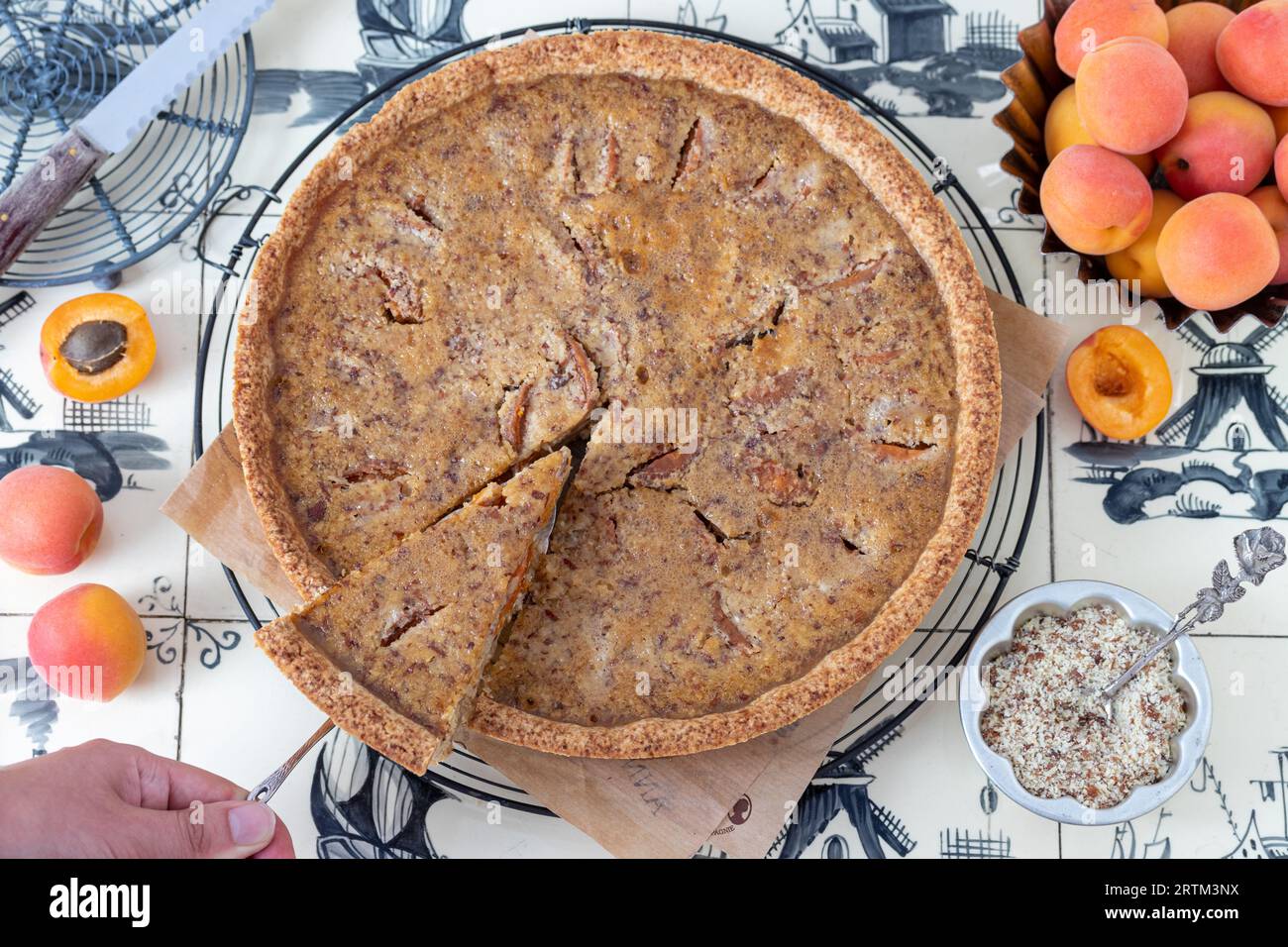 crostata di albicocche con crema di mandorle e albicocche fresche Foto Stock