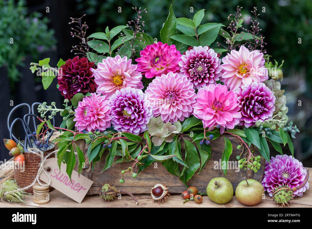 composizione floreale con dahlia rosa e viola in vecchio stampo di mattoni Foto Stock