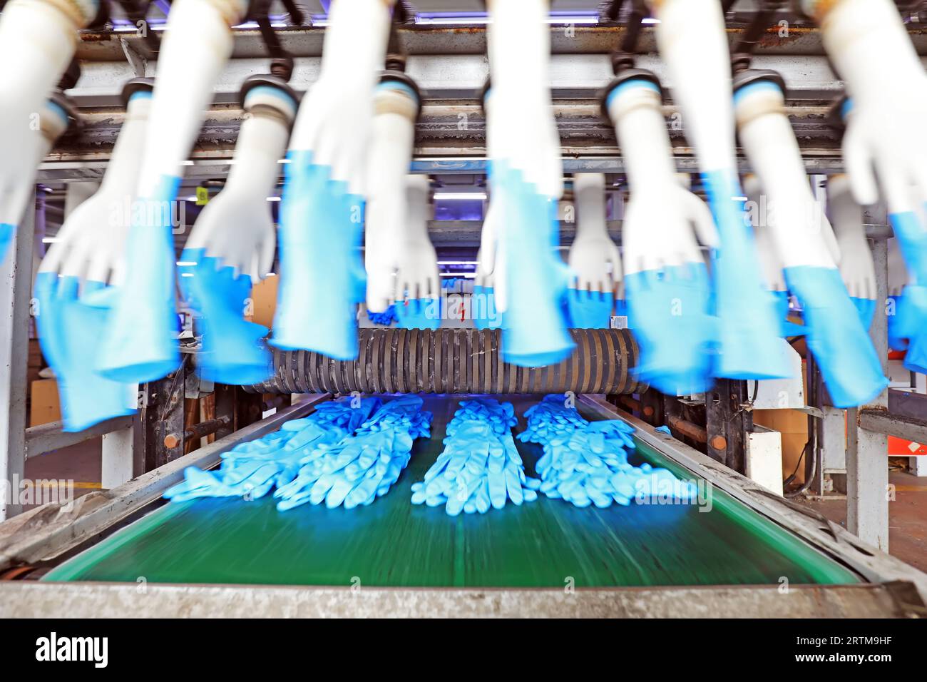 Linea di produzione di guanti in nitrile in Cina Foto Stock