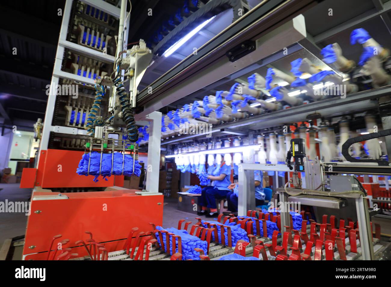 Linea di produzione di guanti in nitrile nel nord della Cina Foto Stock