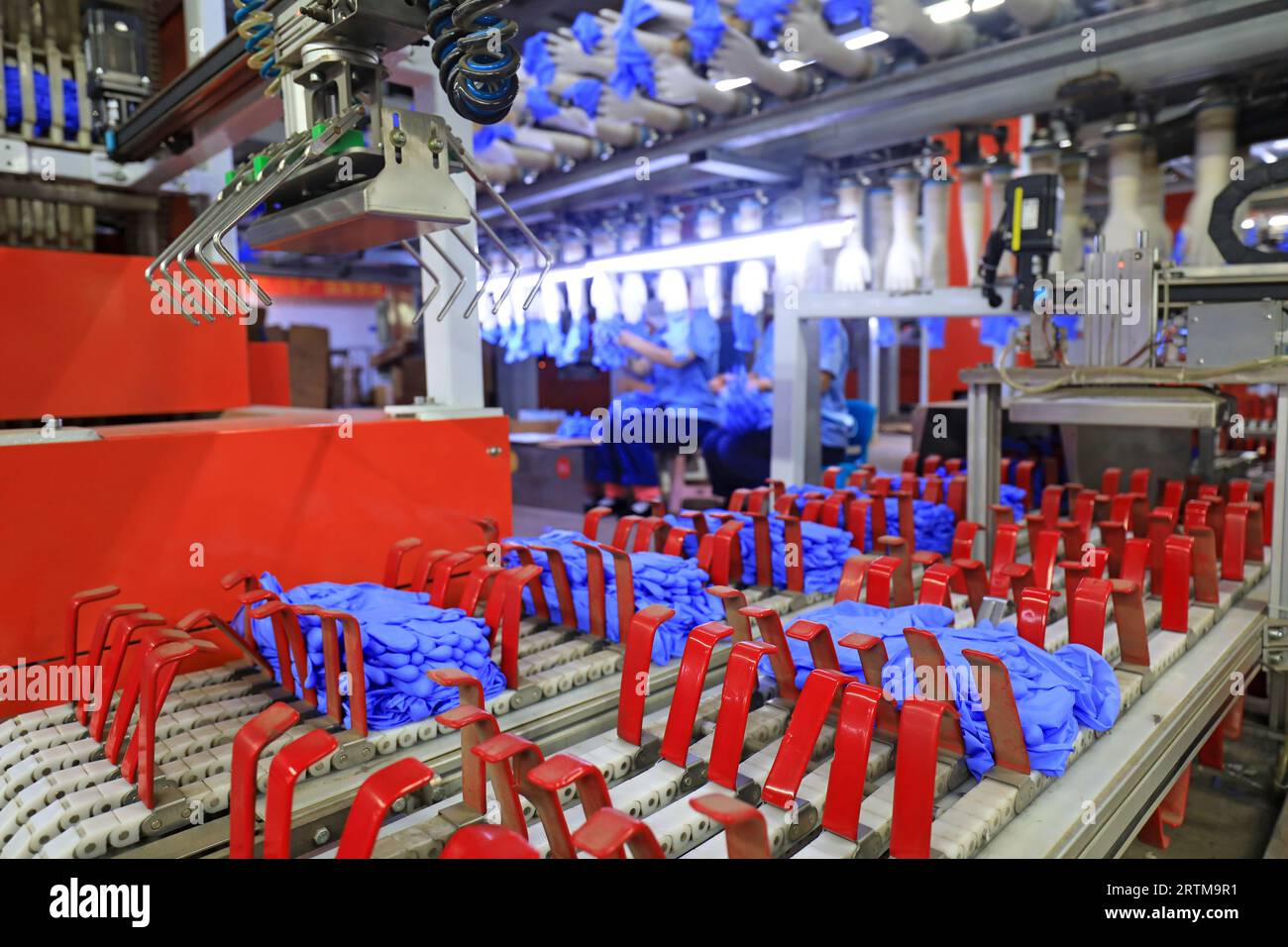Linea di produzione di guanti in nitrile nel nord della Cina Foto Stock
