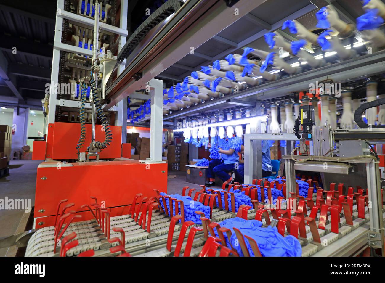 Linea di produzione di guanti in nitrile nel nord della Cina Foto Stock