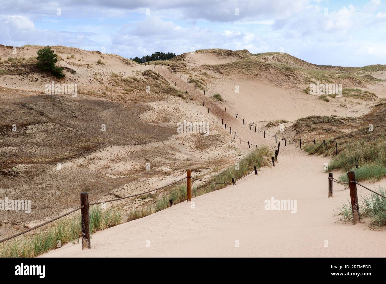 Sentiero turistico attraverso le dune vicino al villaggio di Czolpino nel Parco Nazionale Slovacco, in Polonia Foto Stock