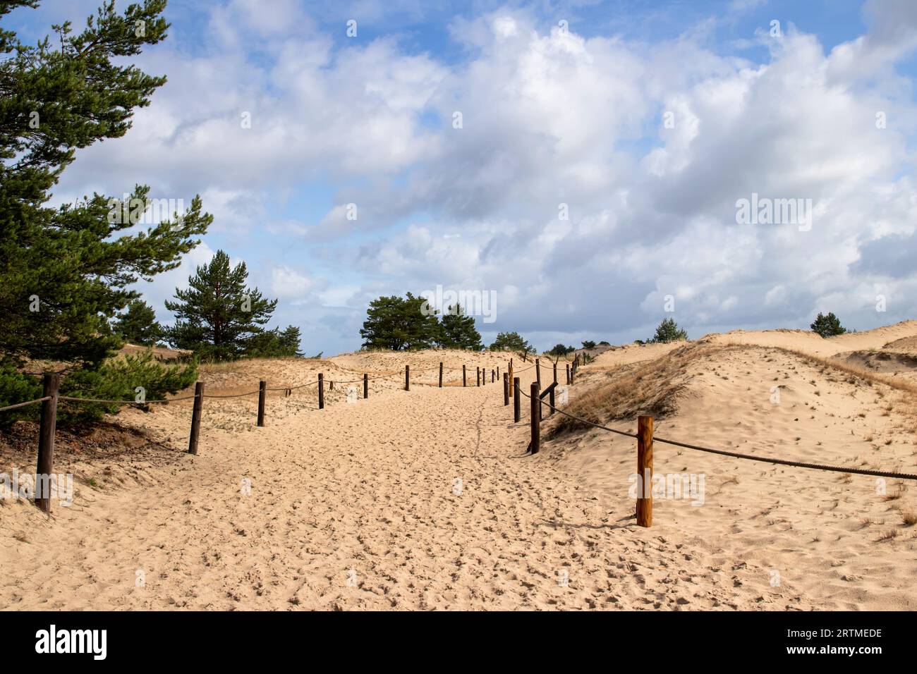 Sentiero turistico attraverso le dune vicino al villaggio di Czolpino, Polonia Foto Stock