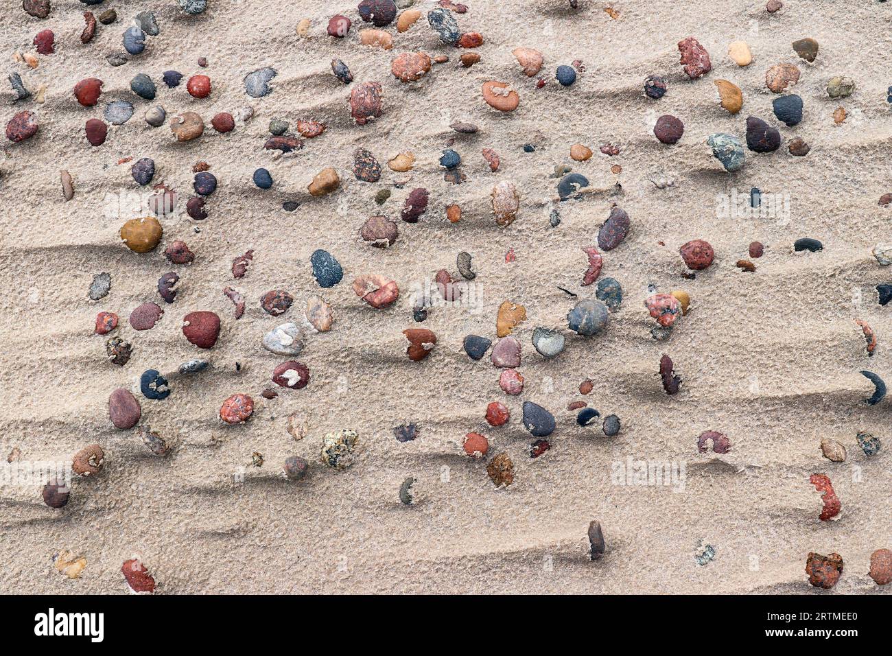 Dettaglio di vari ciottoli marini su una spiaggia sabbiosa - pietre di ghiaia Foto Stock