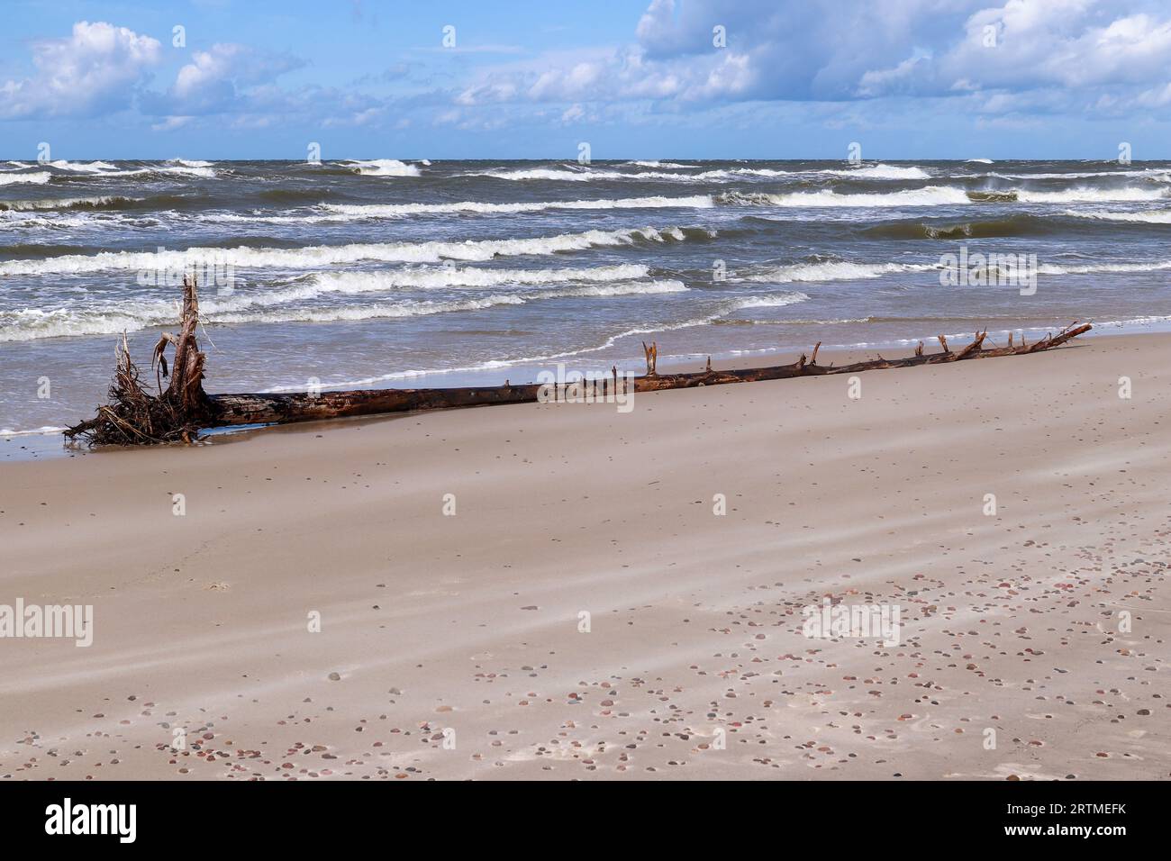 Costa del Mar Baltico e spiaggia selvaggia accanto alle dune mobili del Parco Nazionale Slovacco, conosciuto anche come Parco Nazionale Slowinski, Polonia Foto Stock