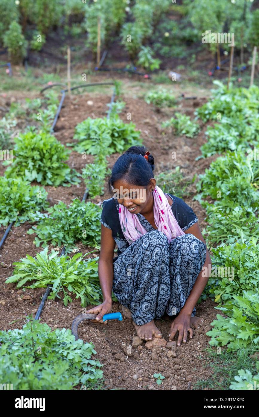 Giardiniere al lavoro in uno dei giardini di Goverdan ecovillage, Maharashtra, India Foto Stock