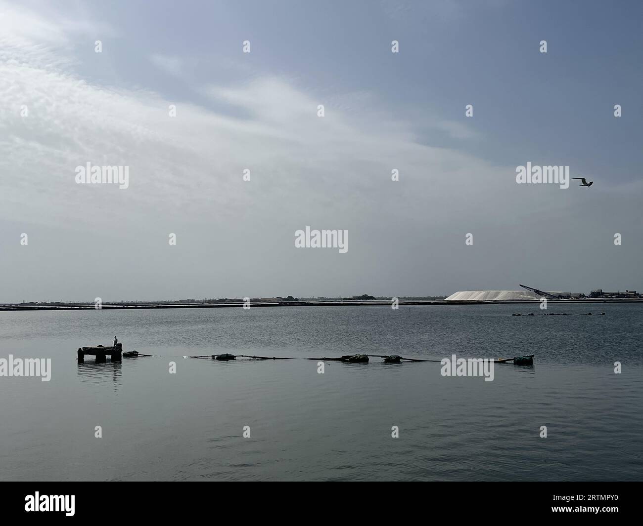 Saline del fiume Saloum a Kaolack, Senegal Foto Stock