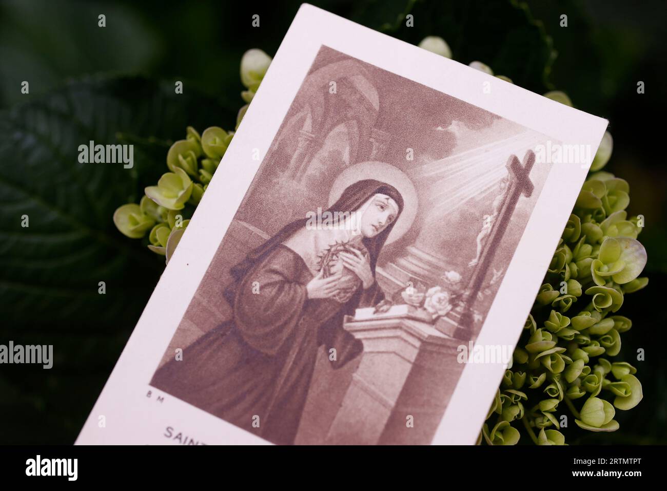 Santa immagine di Santa Rita di Cascia. Patrona dell'impossibile, mogli e vedove maltrattate. Simbolo religioso. Foto Stock