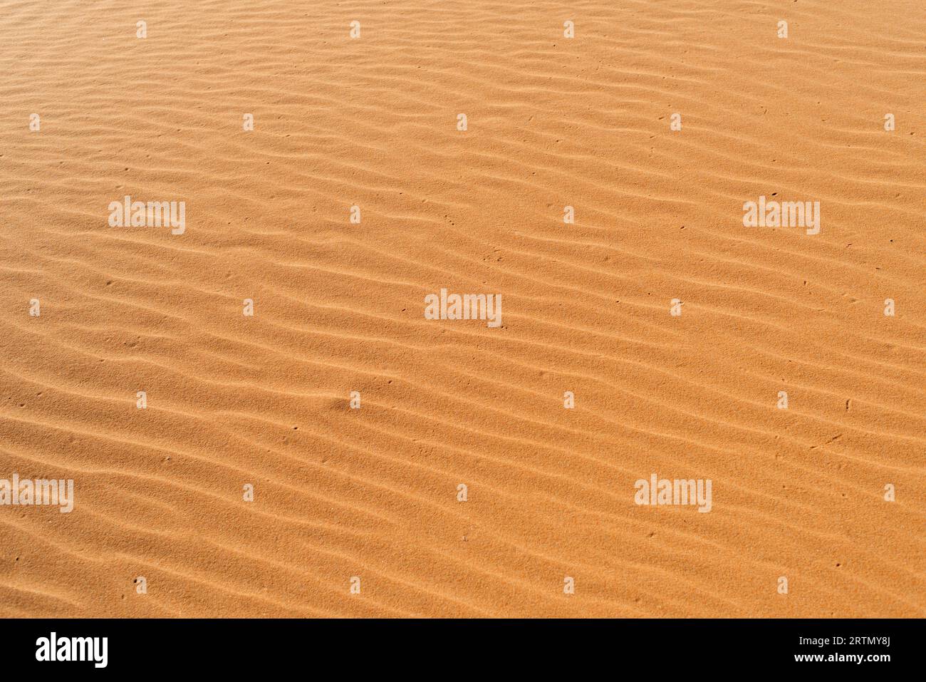 Onde di sabbia di colore rossastro sullo sfondo Foto Stock