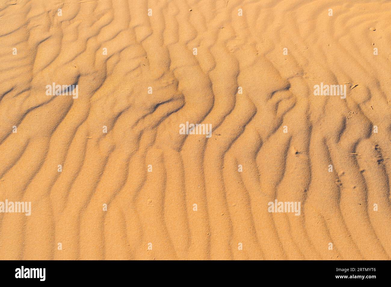 Onde di sabbia di colore rossastro sullo sfondo Foto Stock