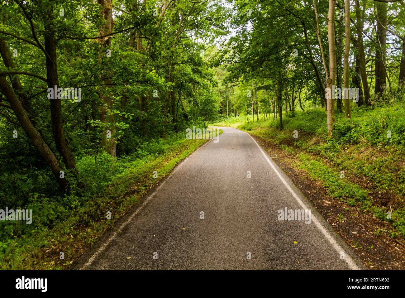 Strada rurale a Ceske Stredohori, Repubblica Ceca Foto Stock