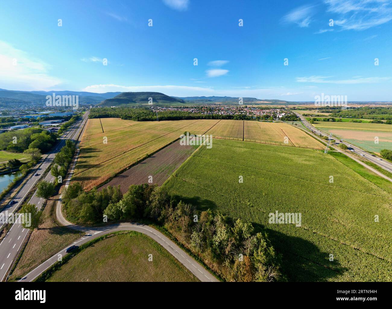 Vista aerea panoramica di Daweid Corn Fields: L'imminente ZAC a Florival, Guebwiller 2023 Vision, Haut-Rhin, Alsazia Foto Stock