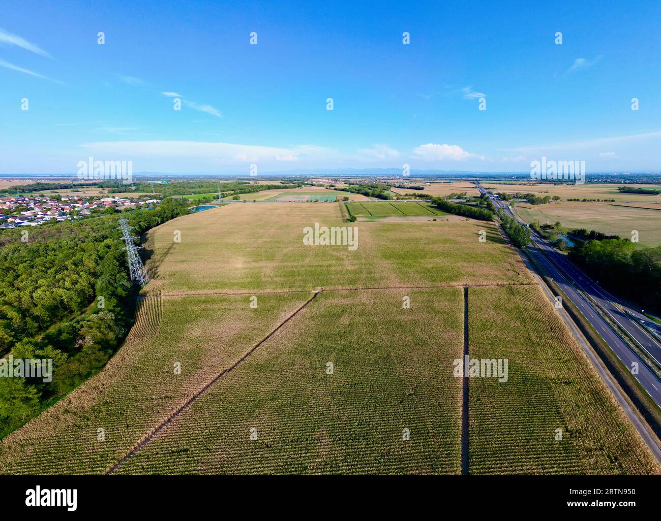 Vista aerea panoramica di Daweid Corn Fields: L'imminente ZAC a Florival, Guebwiller 2023 Vision, Haut-Rhin, Alsazia Foto Stock