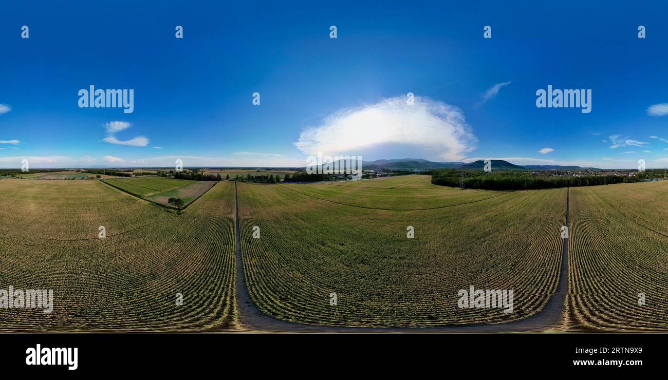 360° Panorama aerea di Daweid Corn Fields: La transizione contestata dall'agricoltura rurale alla zona di attività urbanizzata nella Comunità Guebwiller, estate Foto Stock